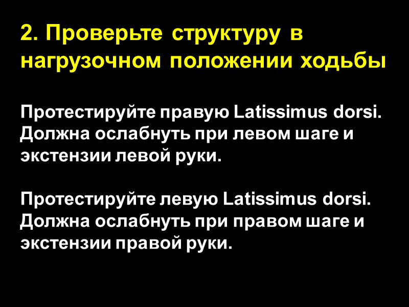 2. Проверьте структуру в нагрузочном положении ходьбы  Протестируйте правую Latissimus dorsi. Должна ослабнуть